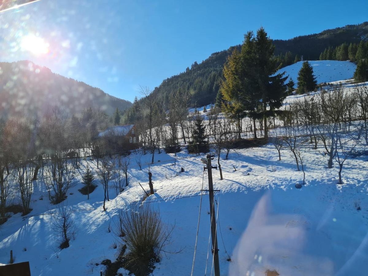 Penzion Mala Fatra U Durka Žilina Exterior foto